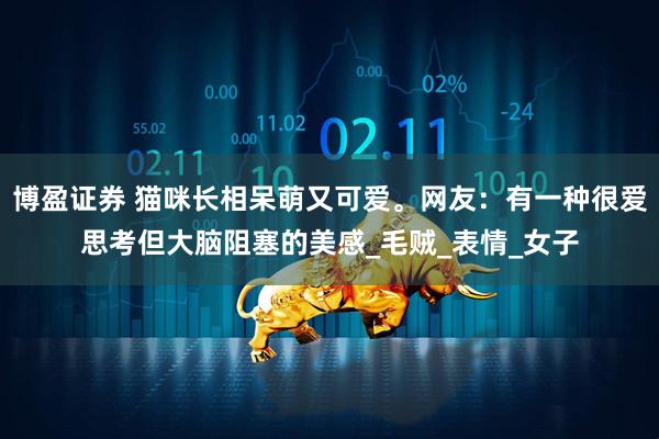 博盈证券 猫咪长相呆萌又可爱。网友：有一种很爱思考但大脑阻塞的美感_毛贼_表情_女子