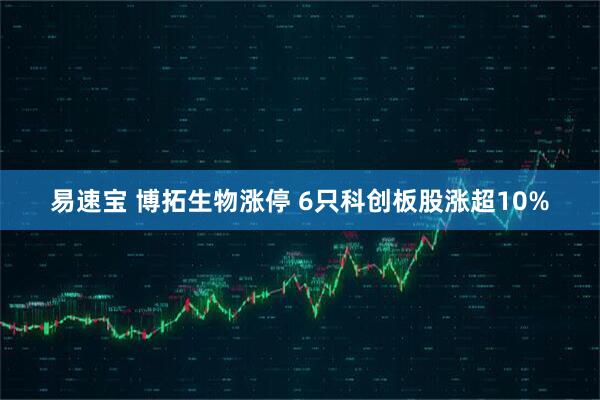 易速宝 博拓生物涨停 6只科创板股涨超10%