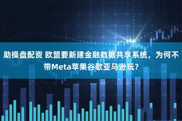 助操盘配资 欧盟要新建金融数据共享系统，为何不带Meta苹果谷歌亚马逊玩？