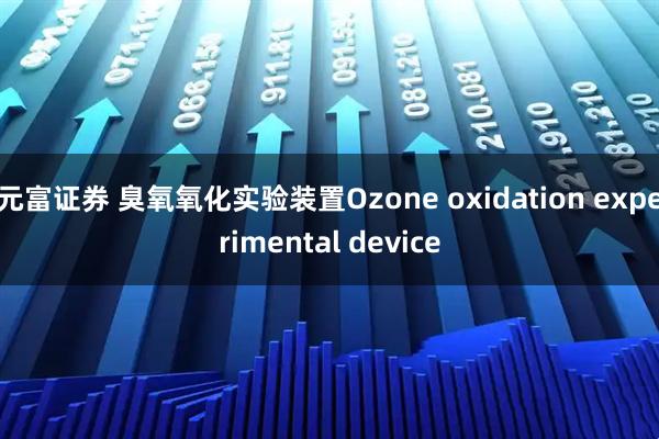 元富证券 臭氧氧化实验装置Ozone oxidation experimental device
