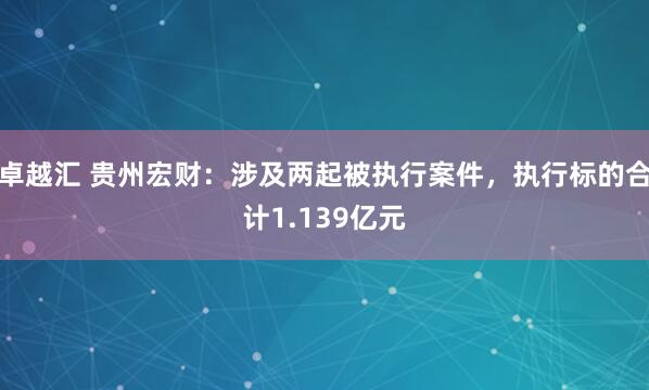 卓越汇 贵州宏财：涉及两起被执行案件，执行标的合计1.139亿元
